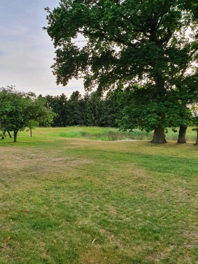 Lillevang Bed & Breakfast Sorø Kültér fotó